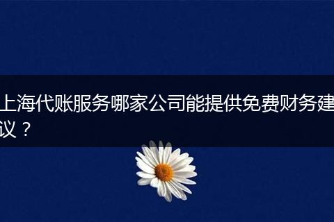 上海代账服务哪家公司能提供免费财务建议？