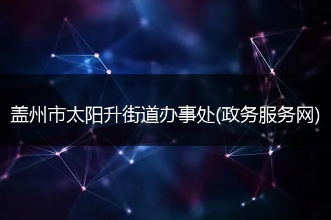 盖州市太阳升街道办事处(政务服务网)