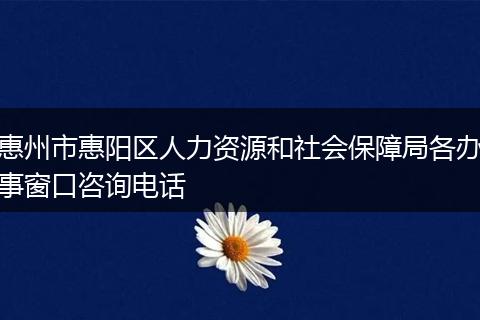 惠州市惠阳区人力资源和社会保障局各办事窗口咨询电话
