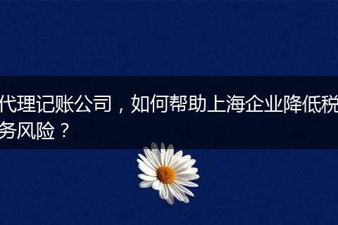 代理记账公司,如何帮助上海企业降低税务风险?