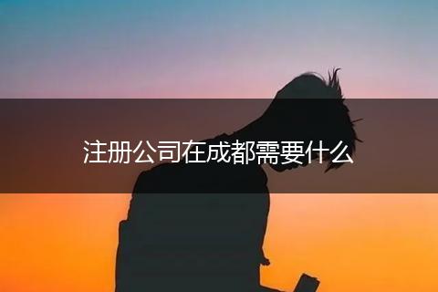 注册公司在成都需要什么