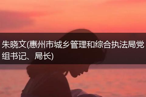 朱晓文(惠州市城乡管理和综合执法局党组书记、局长)