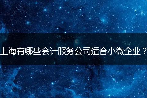 上海有哪些会计服务公司适合小微企业?
