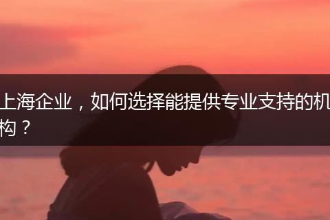 上海企业，如何选择能提供专业支持的机构？