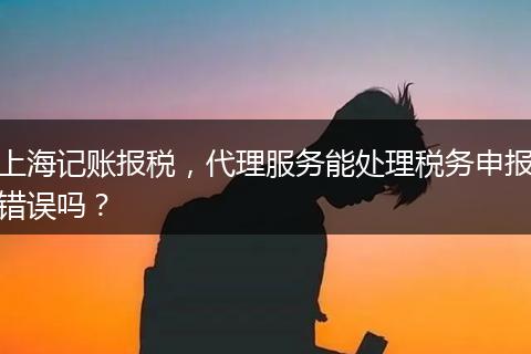 上海记账报税，代理服务能处理税务申报错误吗？