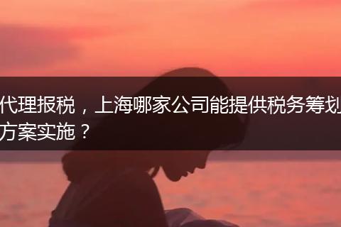 代理报税，上海哪家公司能提供税务筹划方案实施？