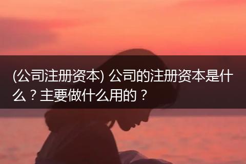 (公司注册资本) 公司的注册资本是什么?主要做什么用的?