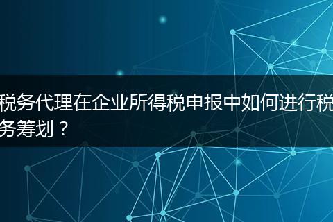 税务代理在企业所得税申报中如何进行税务筹划？