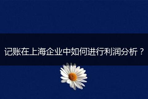 记账在上海企业中如何进行利润分析？