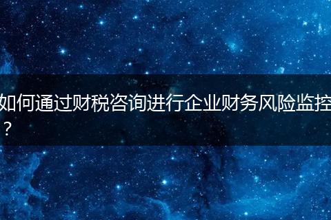 如何通过财税咨询进行企业财务风险监控？