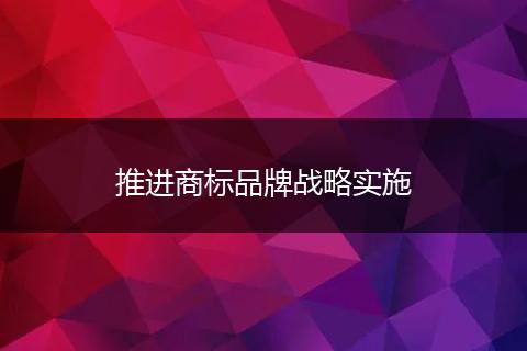 推进商标品牌战略实施