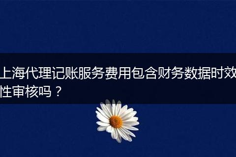 上海代理记账服务费用包含财务数据时效性审核吗?