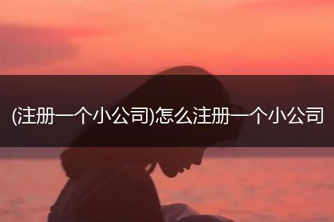 (注册一个小公司)怎么注册一个小公司