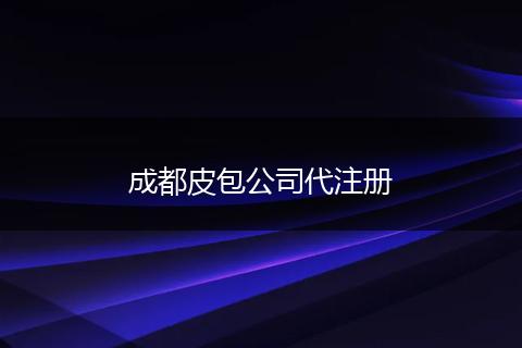 成都皮包公司代注册