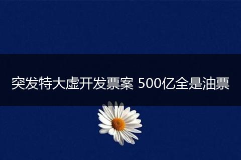 突发特大虚开发票案 500亿全是油票