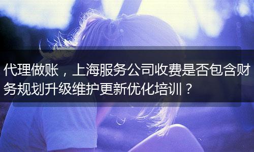 代理做账，上海服务公司收费是否包含财务规划升级维护更新优化培训？