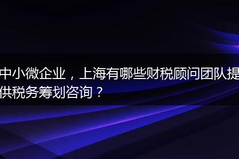 中小微企业，上海有哪些财税顾问团队提供税务筹划咨询？