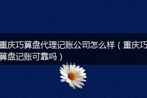 重庆巧算盘代理记账公司怎么样(重庆巧算盘记账可靠吗)