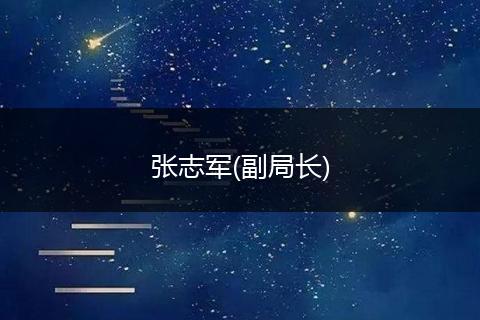 张志军(副局长)