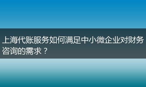 上海代账服务如何满足中小微企业对财务咨询的需求？