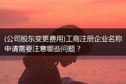 (公司股东变更费用)工商注册企业名称申请需要注意哪些问题?