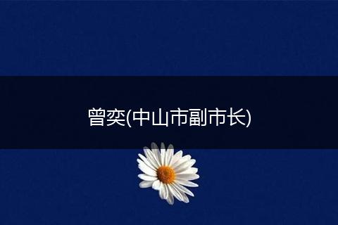 曾奕(中山市副市长)