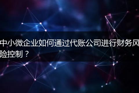 中小微企业如何通过代账公司进行财务风险控制？