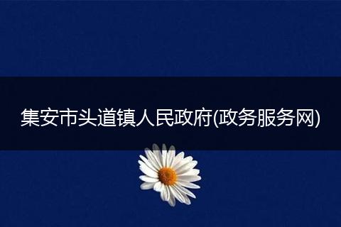 集安市头道镇人民政府(政务服务网)