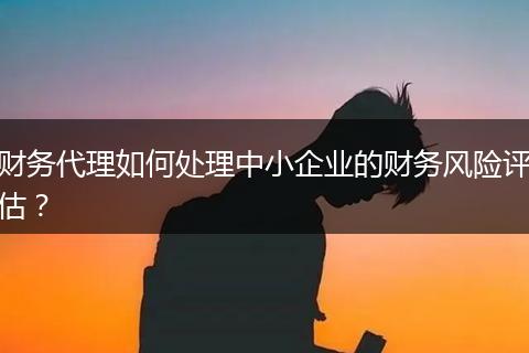 财务代理如何处理中小企业的财务风险评估?