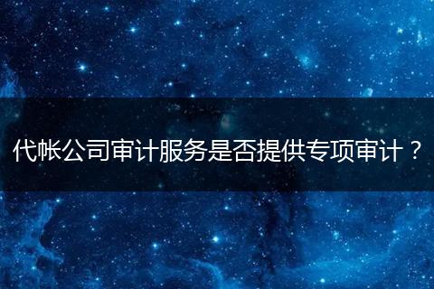 代帐公司审计服务是否提供专项审计？