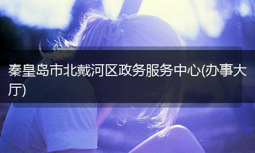 秦皇岛市北戴河区政务服务中心(办事大厅)