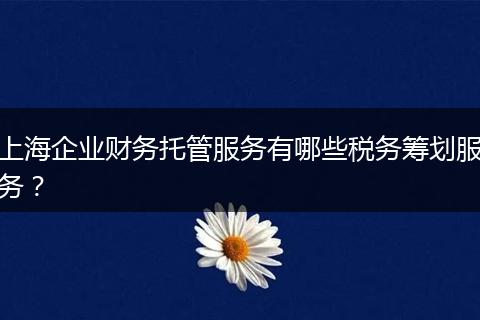上海企业财务托管服务有哪些税务筹划服务？