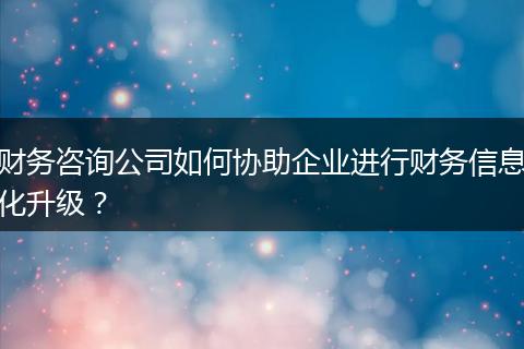 财务咨询公司如何协助企业进行财务信息化升级?