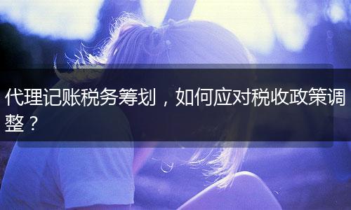 代理记账税务筹划，如何应对税收政策调整？