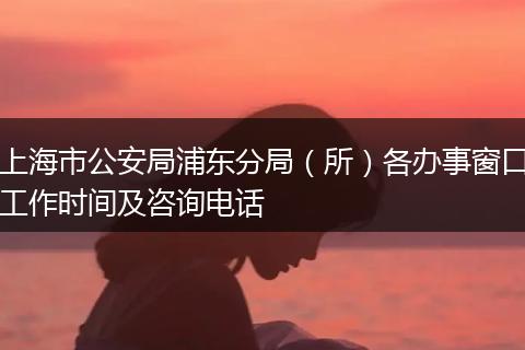 上海市公安局浦东分局(所)各办事窗口工作时间及咨询电话