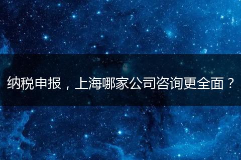 纳税申报，上海哪家公司咨询更全面？