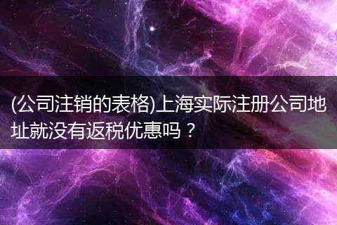 (公司注销的表格)上海实际注册公司地址就没有返税优惠吗？