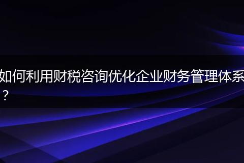 如何利用财税咨询优化企业财务管理体系?