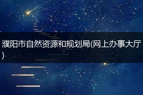 濮阳市自然资源和规划局(网上办事大厅)