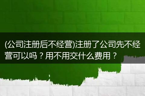 (公司注册后不经营)注册了公司先不经营可以吗？用不用交什么费用？