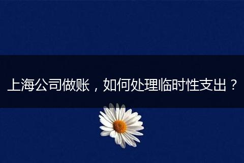 上海公司做账，如何处理临时性支出？