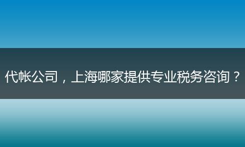 代帐公司，上海哪家提供专业税务咨询？