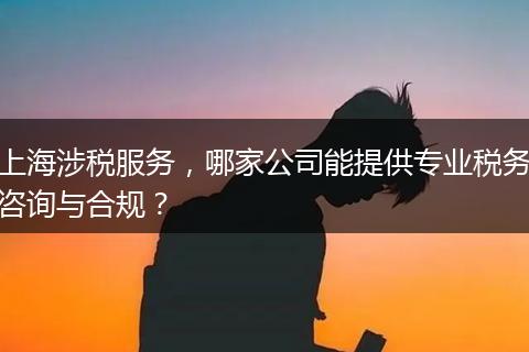 上海涉税服务，哪家公司能提供专业税务咨询与合规？
