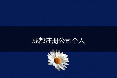 成都注册公司个人