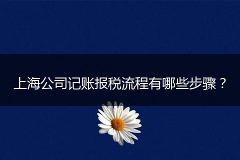 上海公司记账报税流程有哪些步骤？