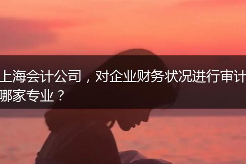 上海会计公司,对企业财务状况进行审计哪家专业?