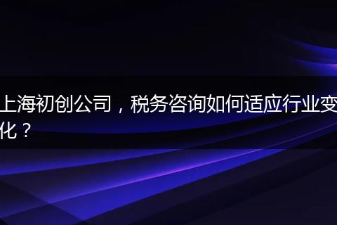 上海初创公司，税务咨询如何适应行业变化？