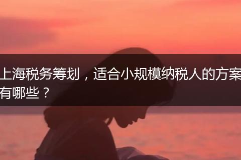 上海税务筹划，适合小规模纳税人的方案有哪些？