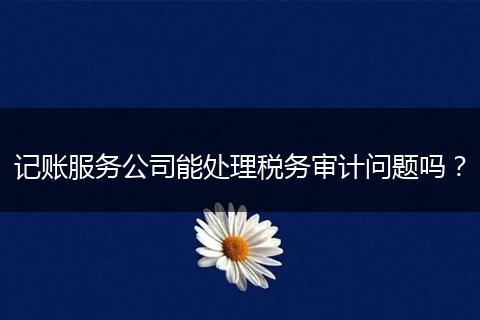 记账服务公司能处理税务审计问题吗？
