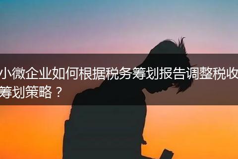 小微企业如何根据税务筹划报告调整税收筹划策略？